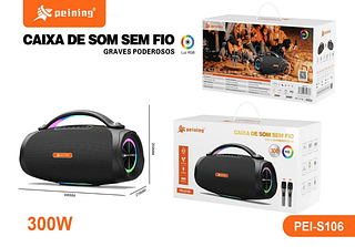 Caixa de som peining 300W